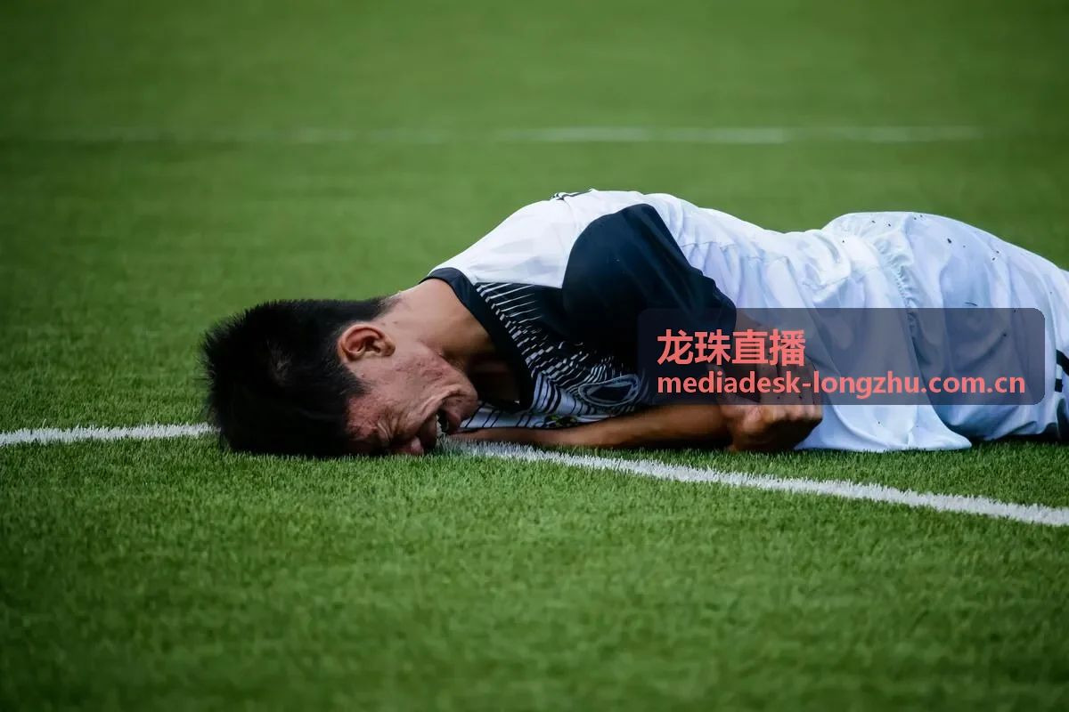 龙珠直播和平精英职业邀请赛