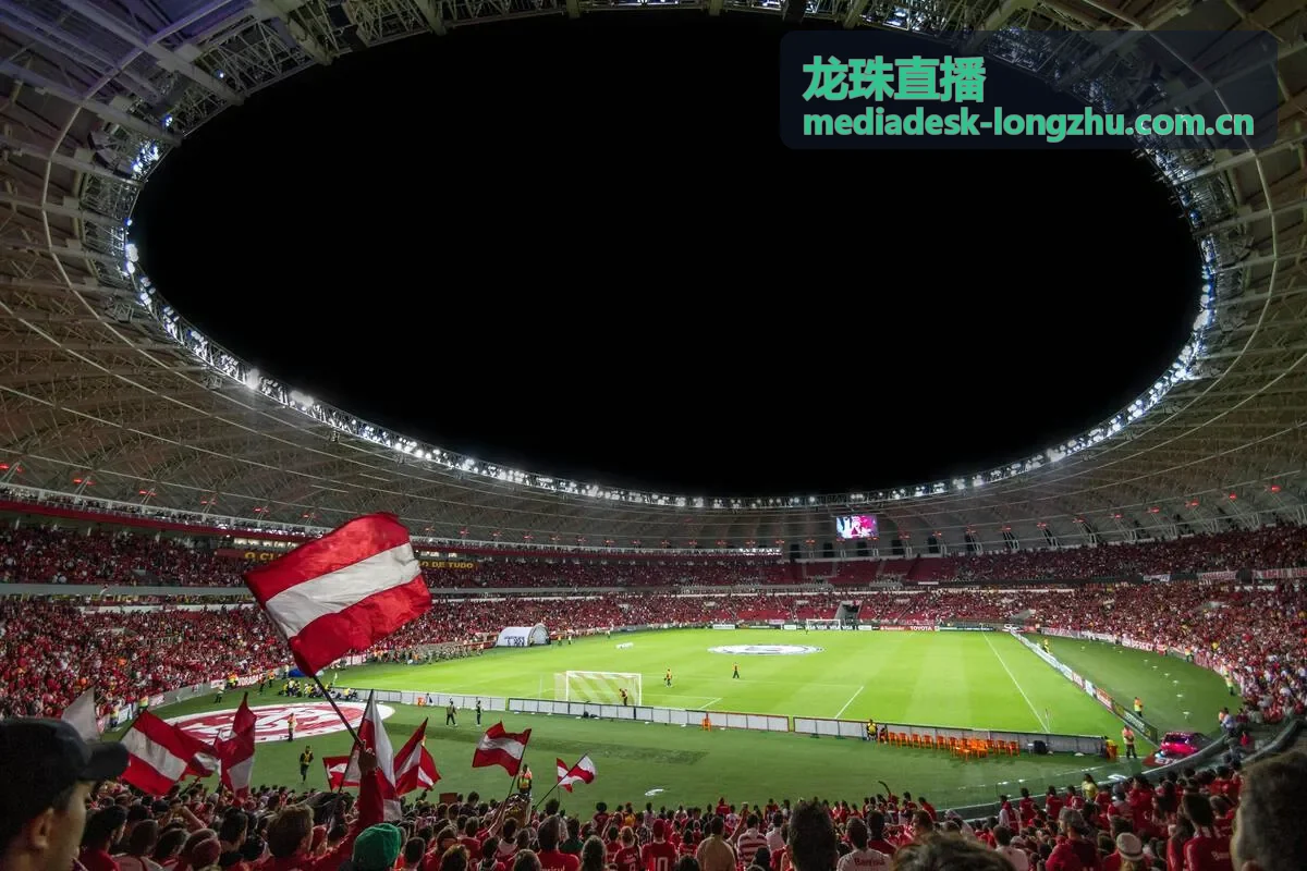 龙珠直播娱乐频道音乐表演现场